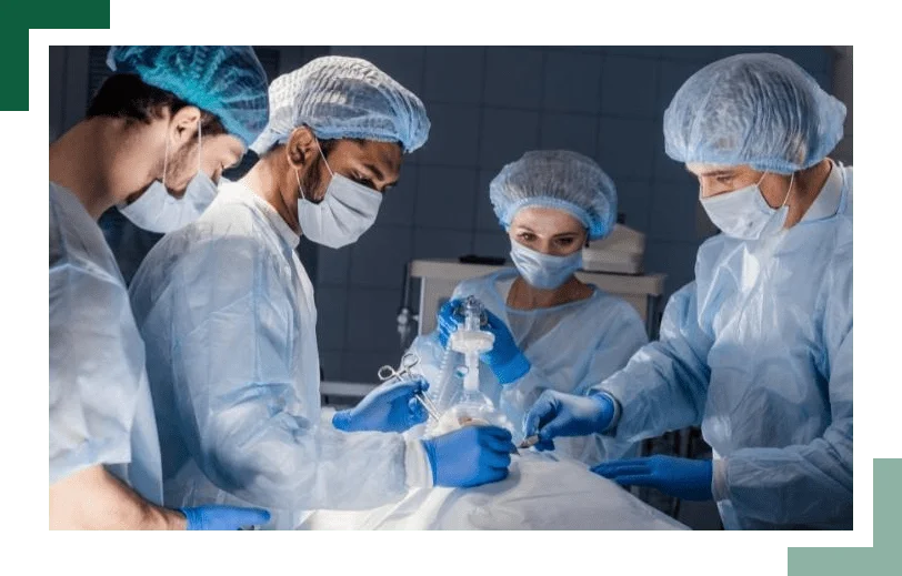Three Male & One Female Doctor doing Operation
